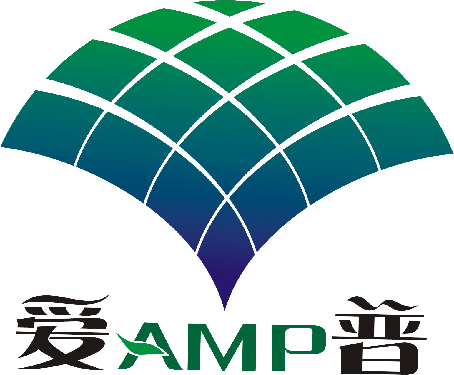 AMP (1)